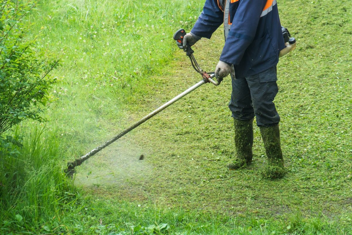 Grass Cutting / Garden Maintenance